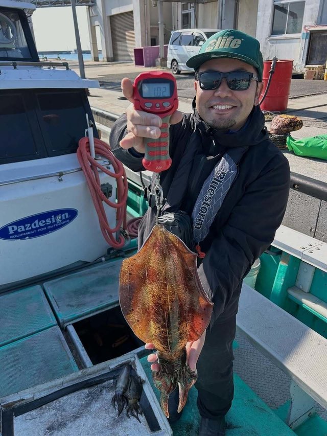 アオリ(アオリイカ)