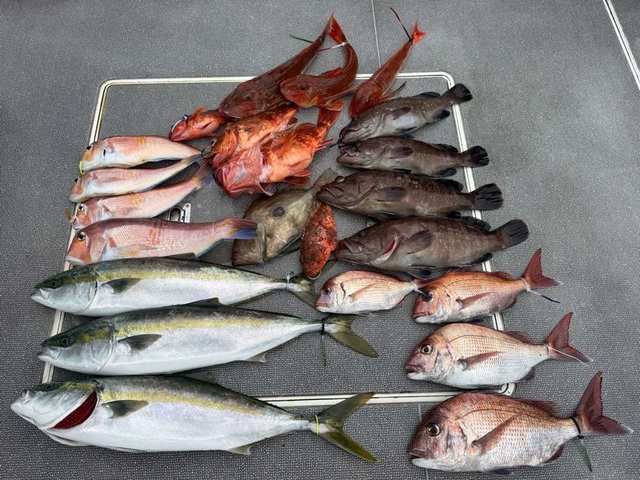 マダイ・マハタ・ハマチ(ブリ)・アカアマダイ・カサゴ・マトウダイ