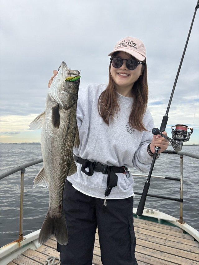 シーバス(スズキ)