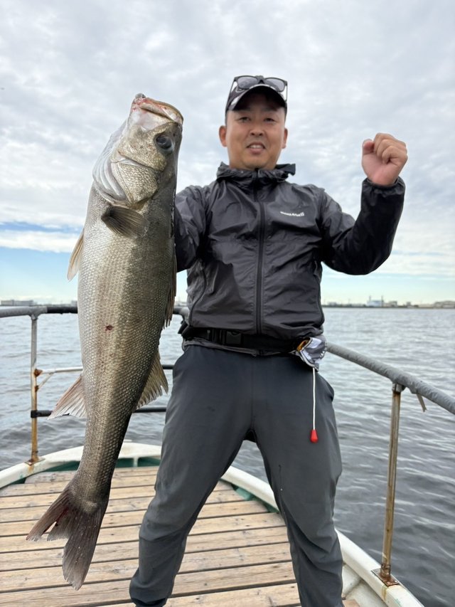 シーバス(スズキ)