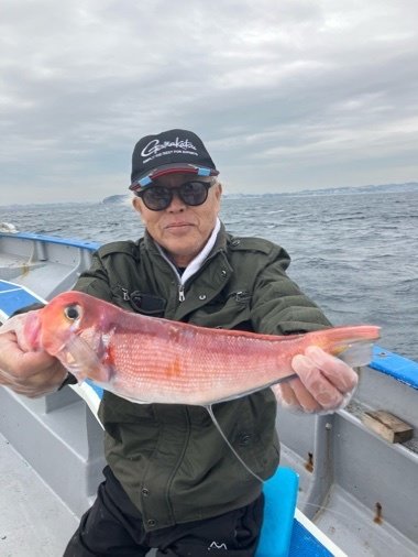 アマダイ(アカアマダイ)