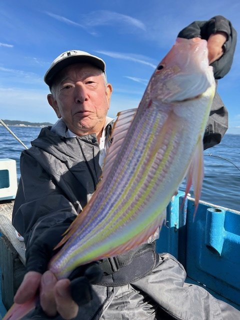 イトヨリ(イトヨリダイ)