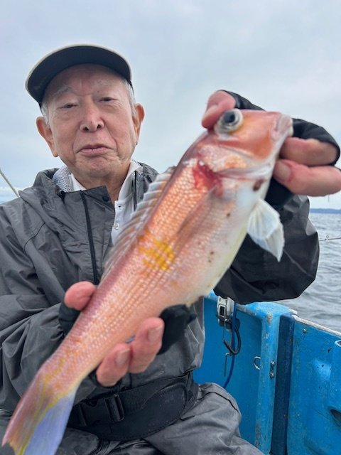 アマダイ(アカアマダイ)