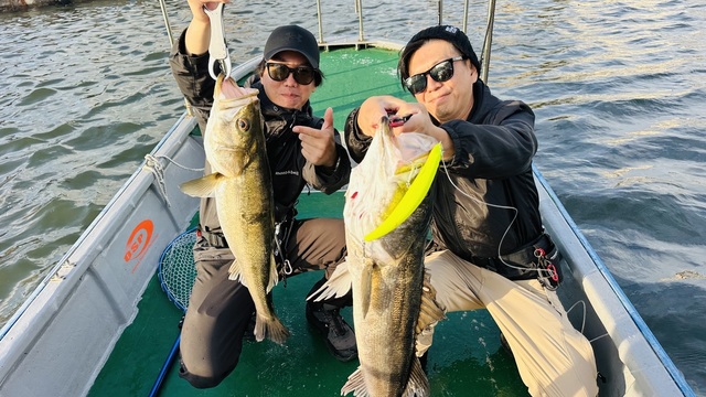 シーバス(スズキ)