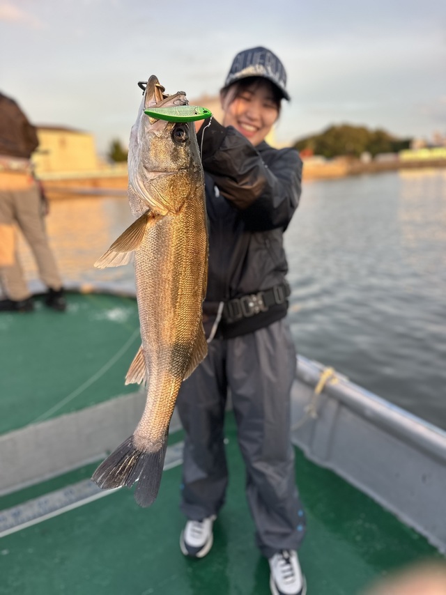 シーバス(スズキ)