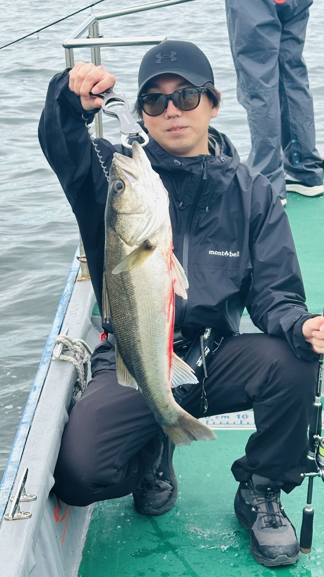 シーバス(スズキ)