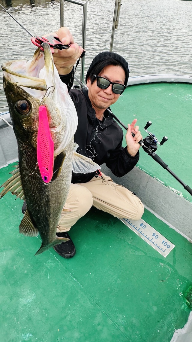 シーバス(スズキ)