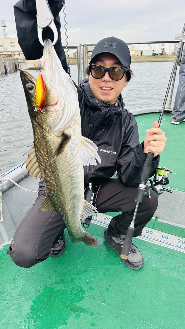 シーバス(スズキ)