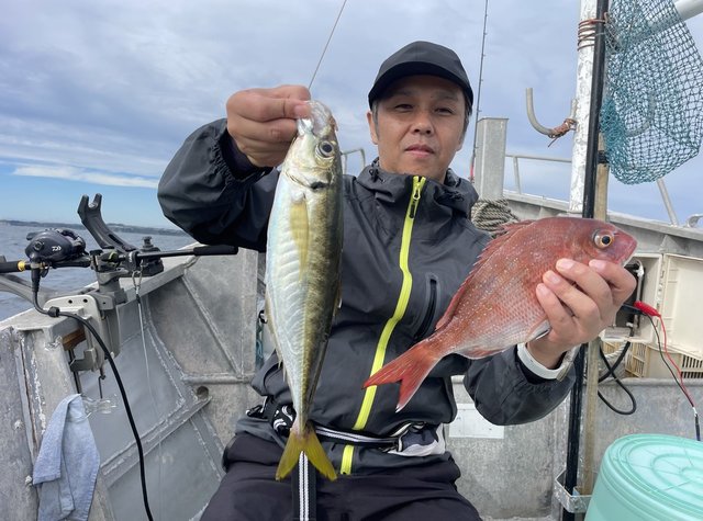 マダイ・アジ(マアジ)