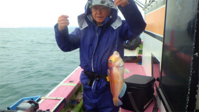 アマダイ(アカアマダイ)