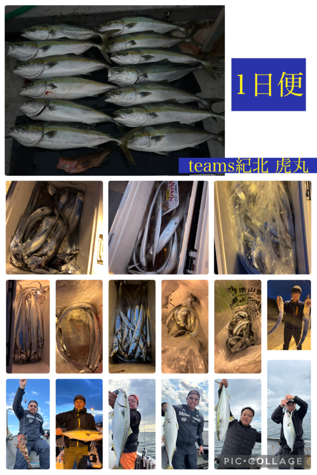 キジハタ・メジロ(ブリ)・タチウオ