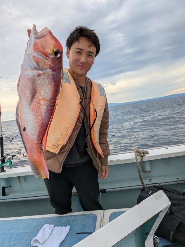 アマダイ(アカアマダイ)