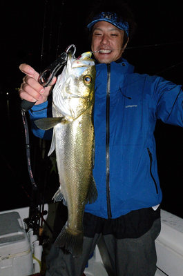 シーバス(スズキ)