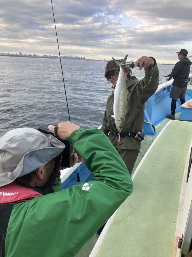 サゴシ(サワラ)