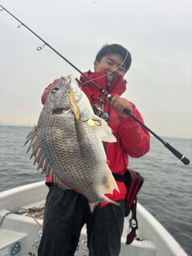 キビレ(キチヌ)