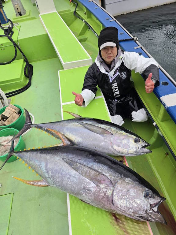 キハダマグロ(キハダ)