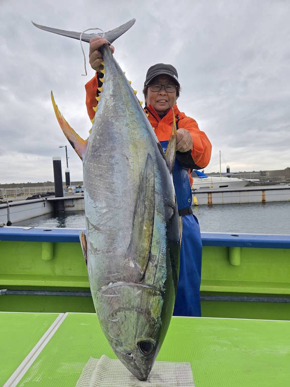 キハダマグロ(キハダ)