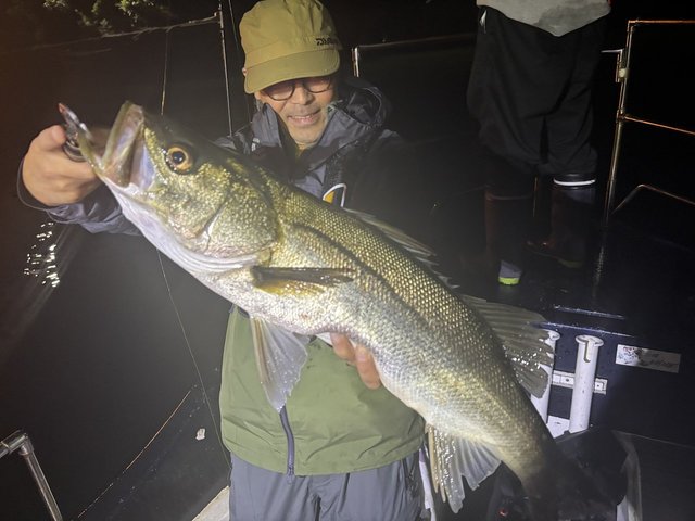 シーバス(スズキ)