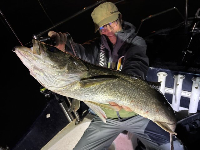 シーバス(スズキ)