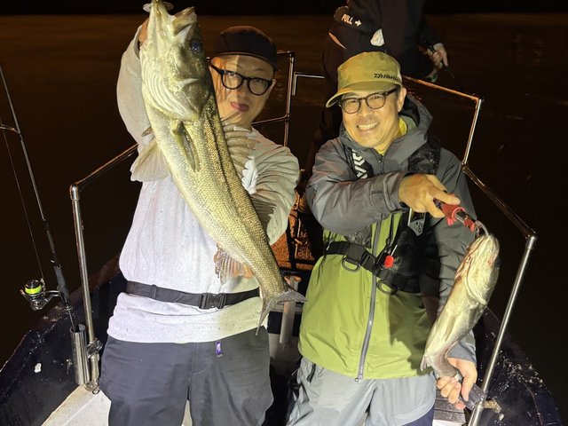 シーバス(スズキ)