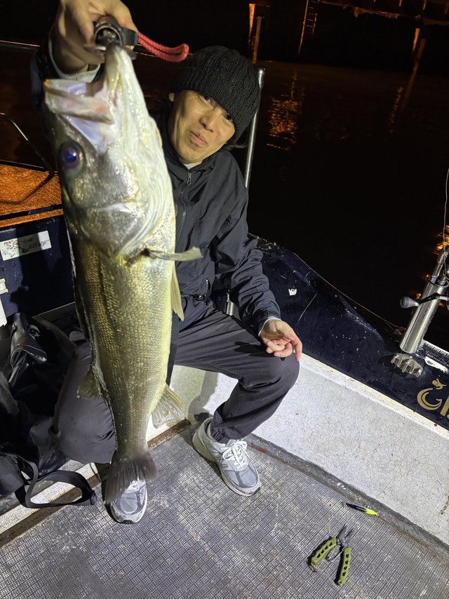 シーバス(スズキ)