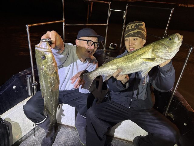 シーバス(スズキ)