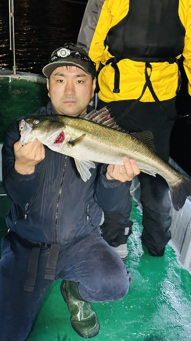 シーバス(スズキ)