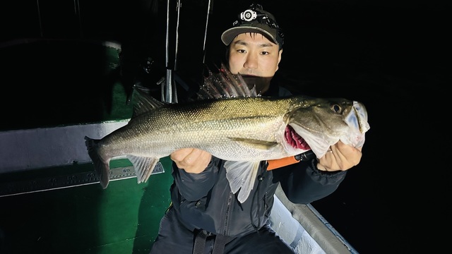 シーバス(スズキ)