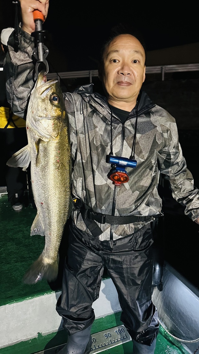 シーバス(スズキ)