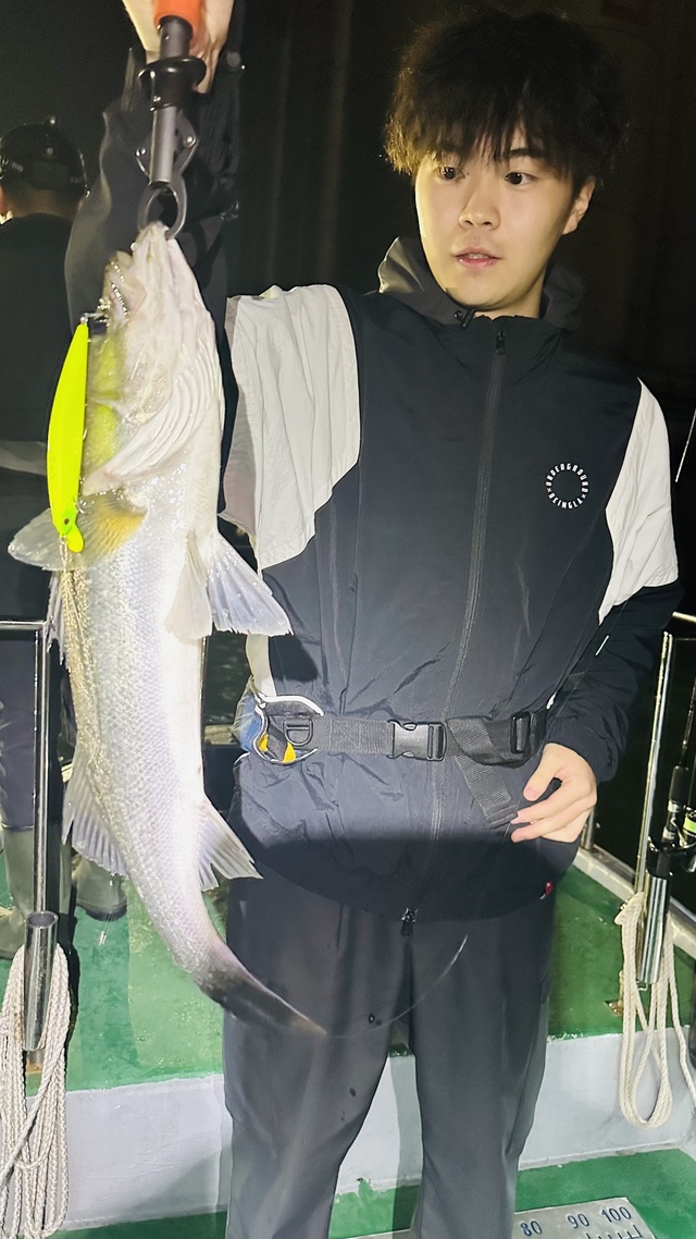 シーバス(スズキ)