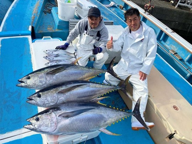 キハダ・カツオ