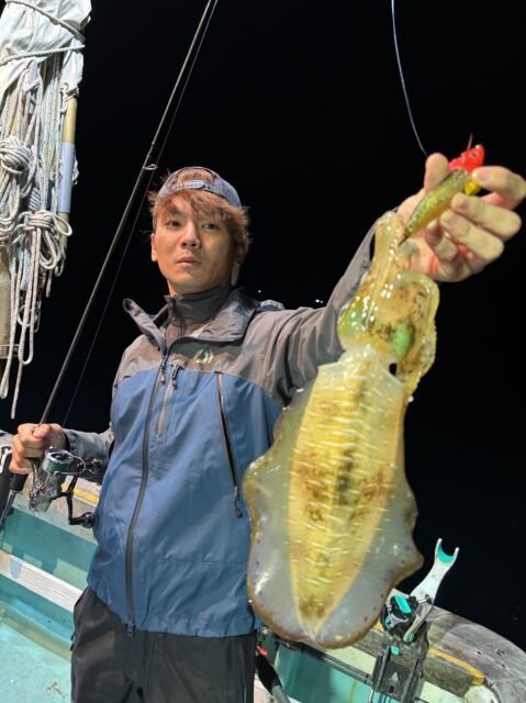 アオリ(アオリイカ)