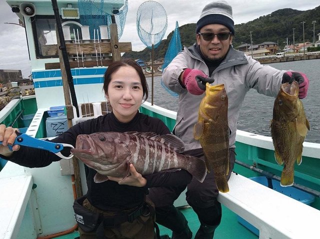 マハタ・ホウキハタ・アオハタ