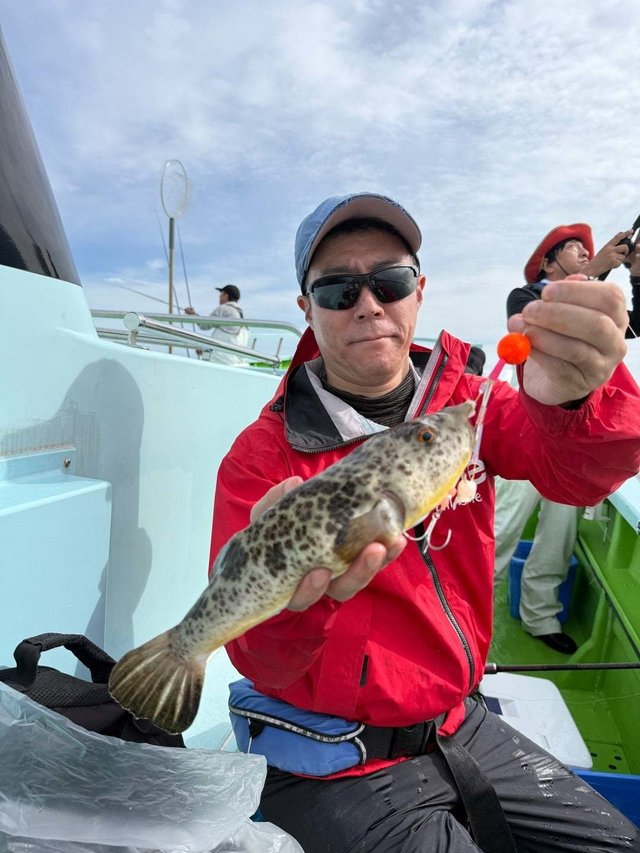 フグ(アカメフグ)