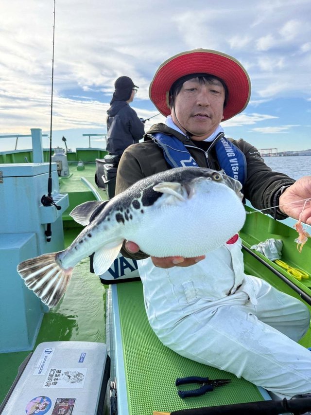 フグ(トラフグ)