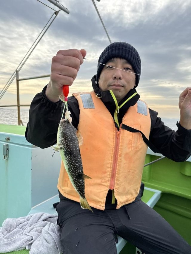 フグ(ショウサイフグ)