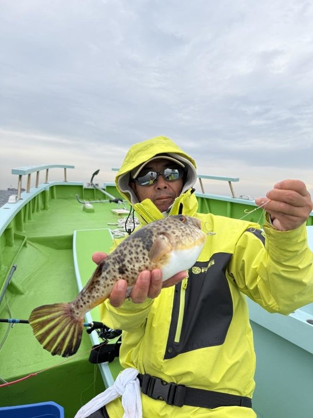 フグ(アカメフグ)