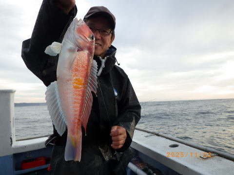 アマダイ(アカアマダイ)