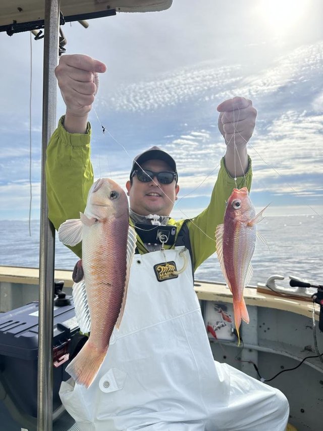 アマダイ(アカアマダイ)