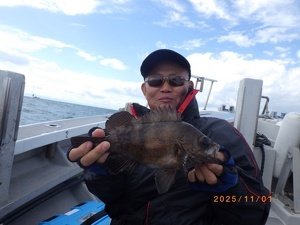 ヘダイ