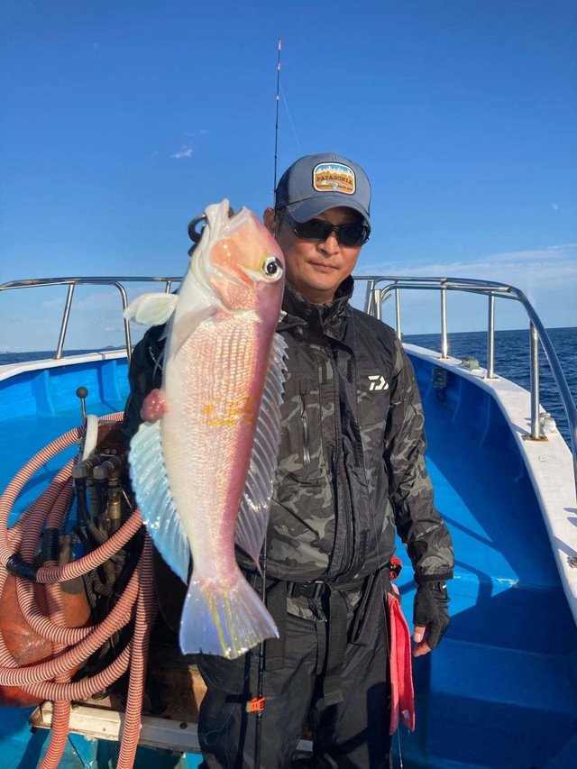 アマダイ(アカアマダイ)