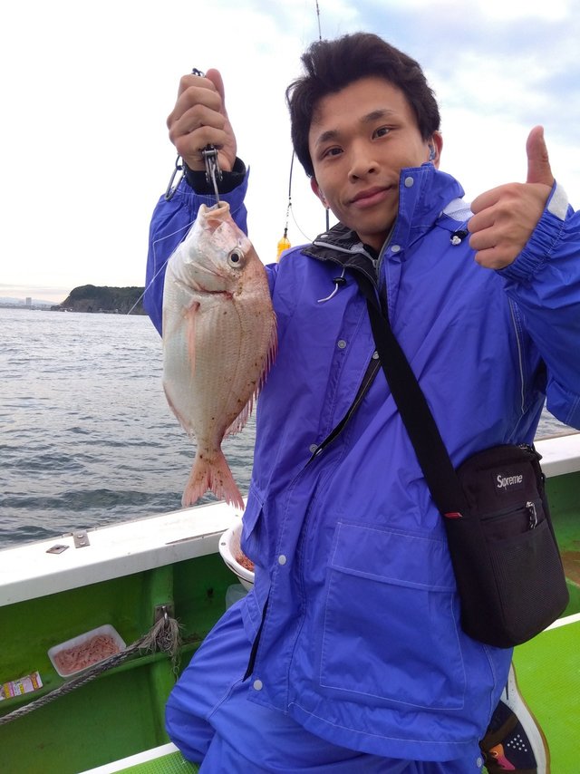 ハナダイ(チダイ)