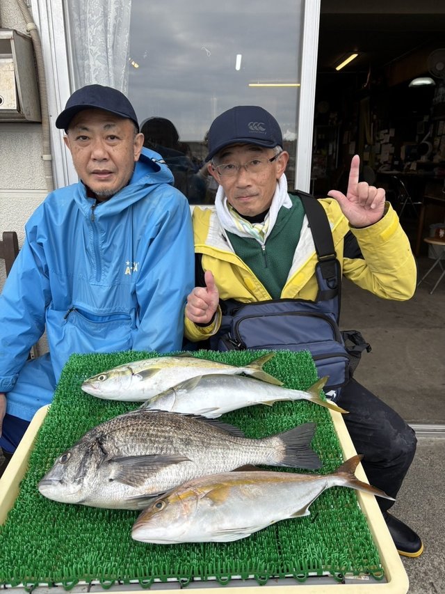 クロダイ・イナダ(ブリ)・カンパチ
