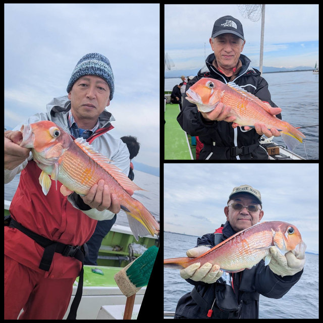 アマダイ(アカアマダイ)