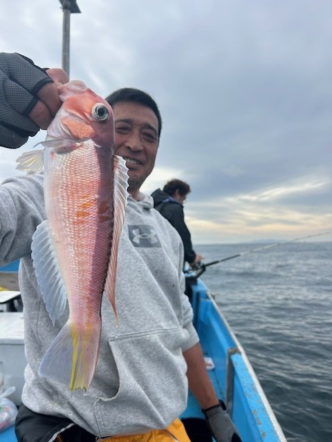 アマダイ(アカアマダイ)