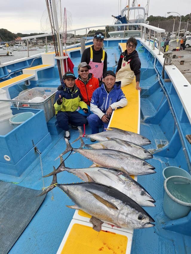 キメジ(キハダ)