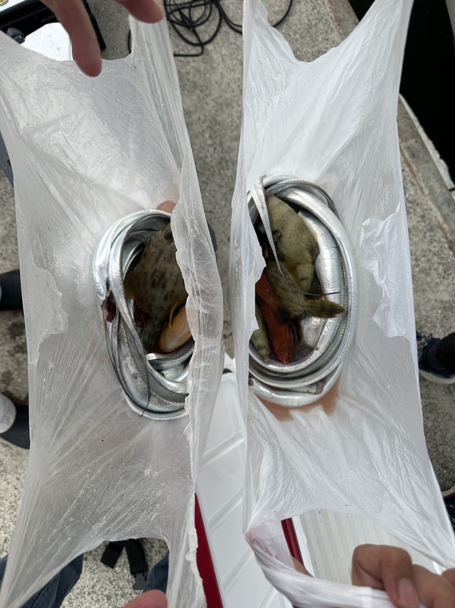 タチウオ・カワハギ