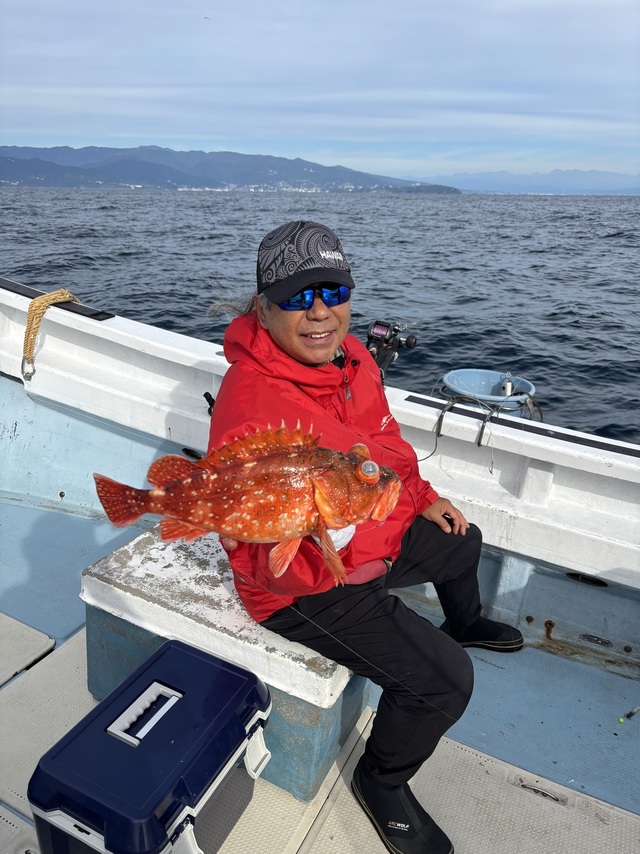 カンコ(ウッカリカサゴ)