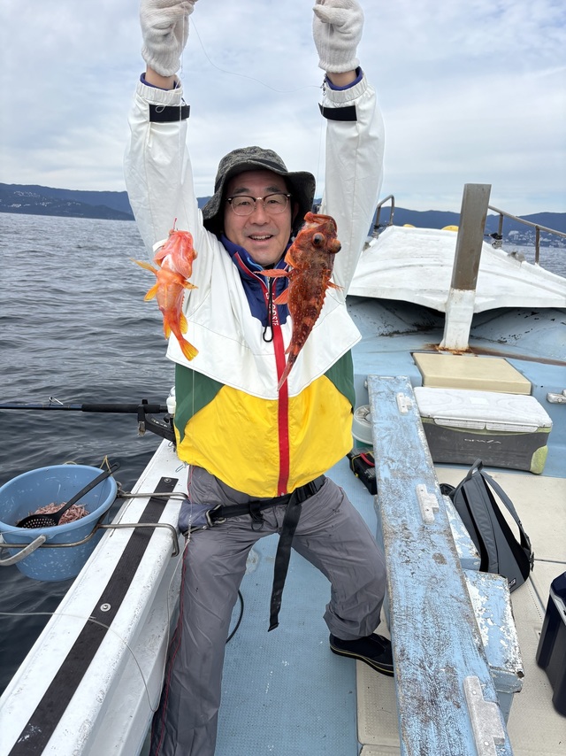 カンコ(ウッカリカサゴ)