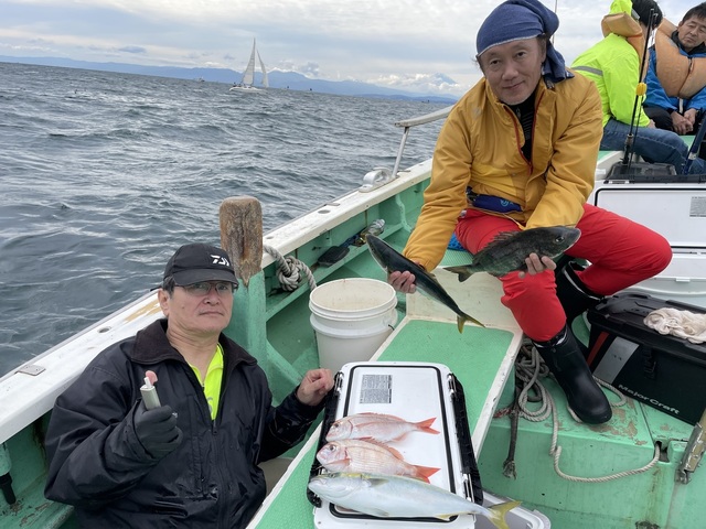 ハナダイ(チダイ)・イナダ(ブリ)